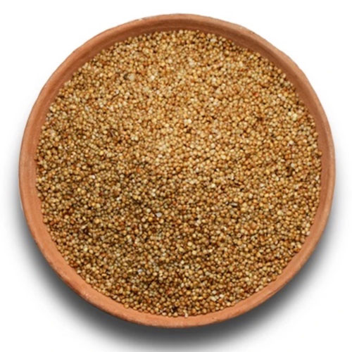 kodo millet