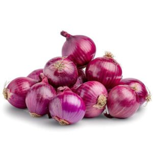 Onion (வெங்காயம் - Vengayam) Wholesale Sellers and Distributors in Tamil Nadu